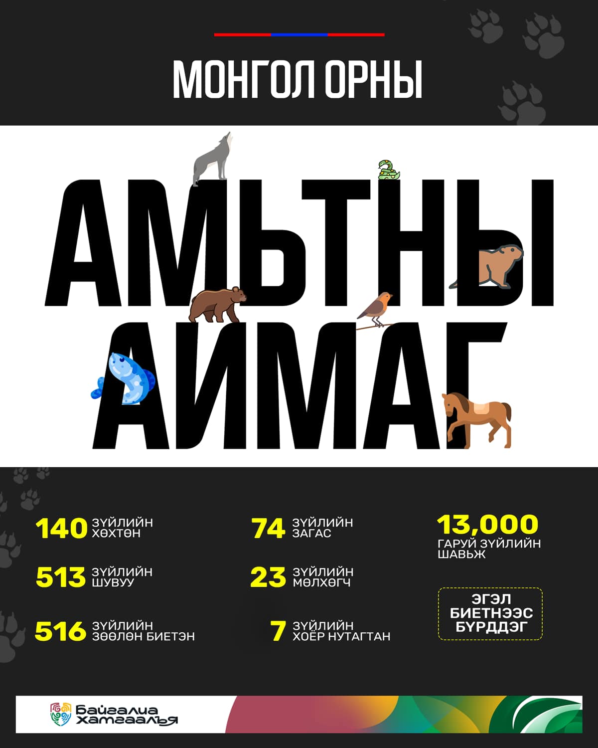 Монгол орны амьтны аймагт 16 зүйлийн нэн ховор, 76 зүйлийн ховор амьтан багтдаг